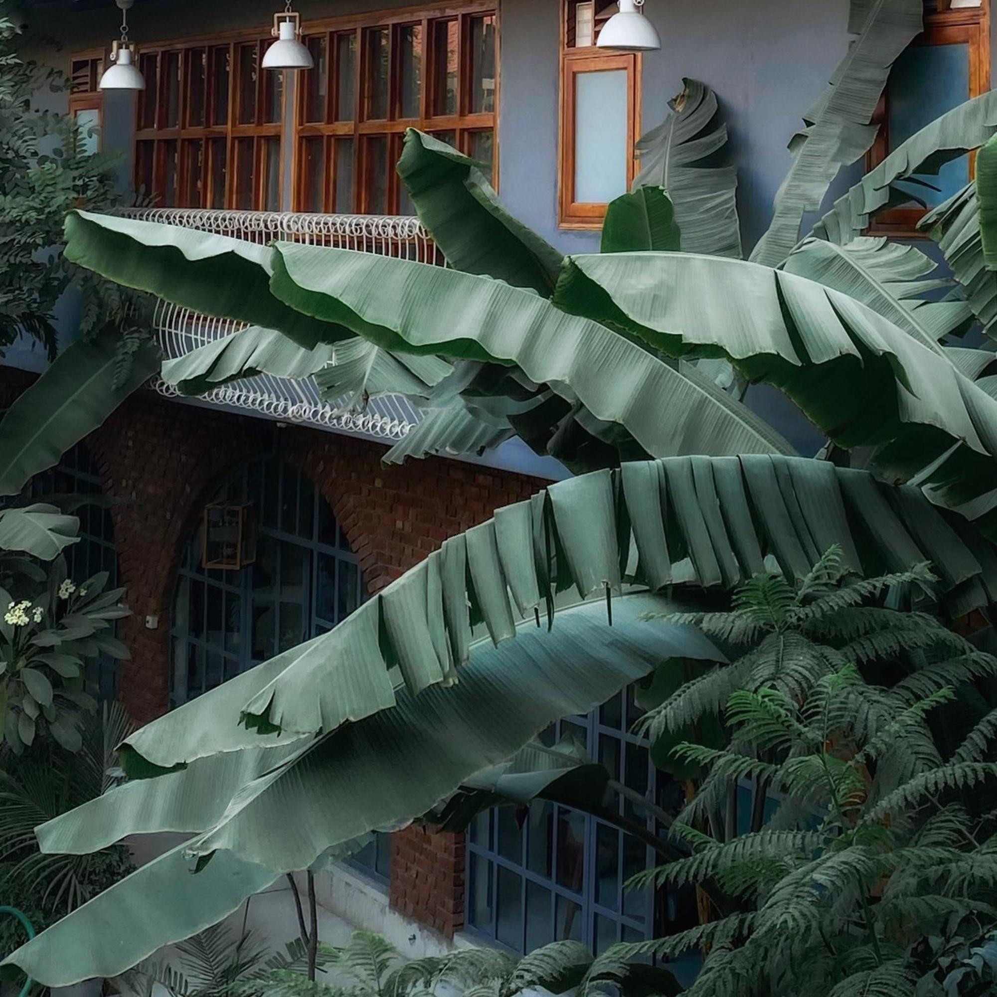 Hotel The Artist House Udaipur Exterior foto